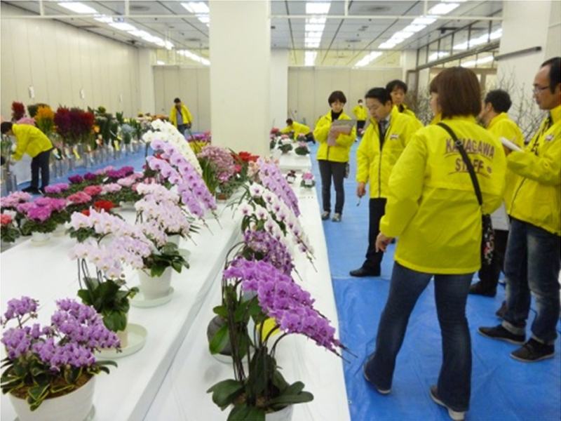 花卉 園芸 川崎